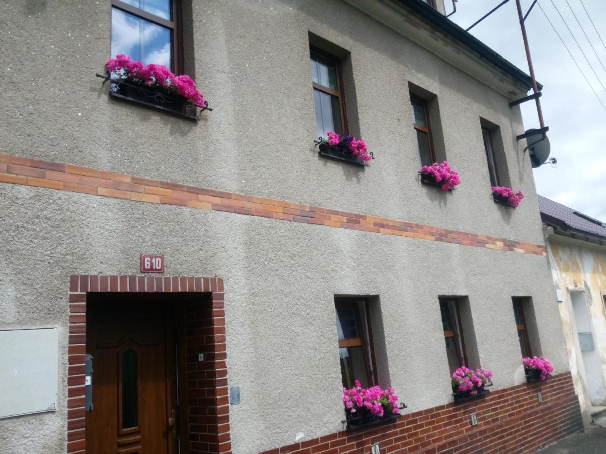 Apartman Albreit 1 Jachymov Εξωτερικό φωτογραφία